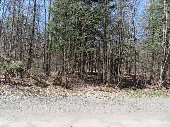 72.4 Acres of Land for Sale in Oxford, New York