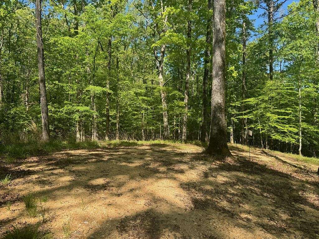 18 Acres of Land for Sale in Oxford, Mississippi