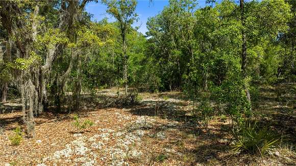 1.22 Acres of Residential Land for Sale in Hernando, Florida