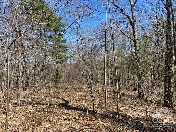 22 Acres of Agricultural Land for Sale in Austerlitz, New York