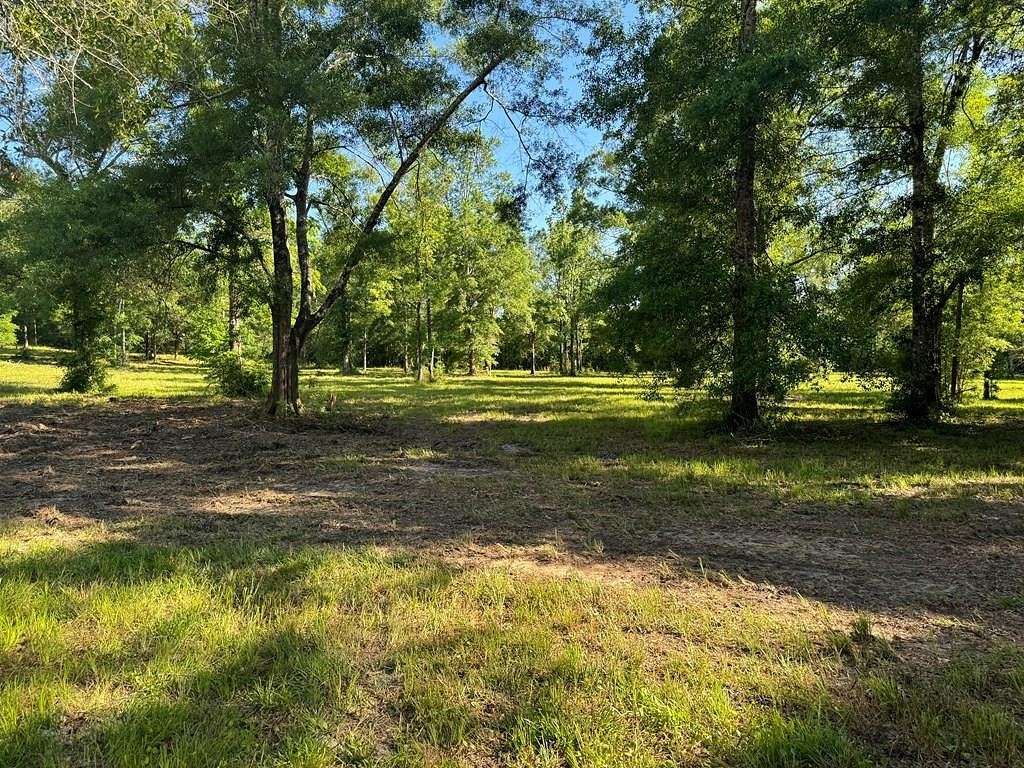 8.8 Acres of Residential Land for Sale in Carriere, Mississippi