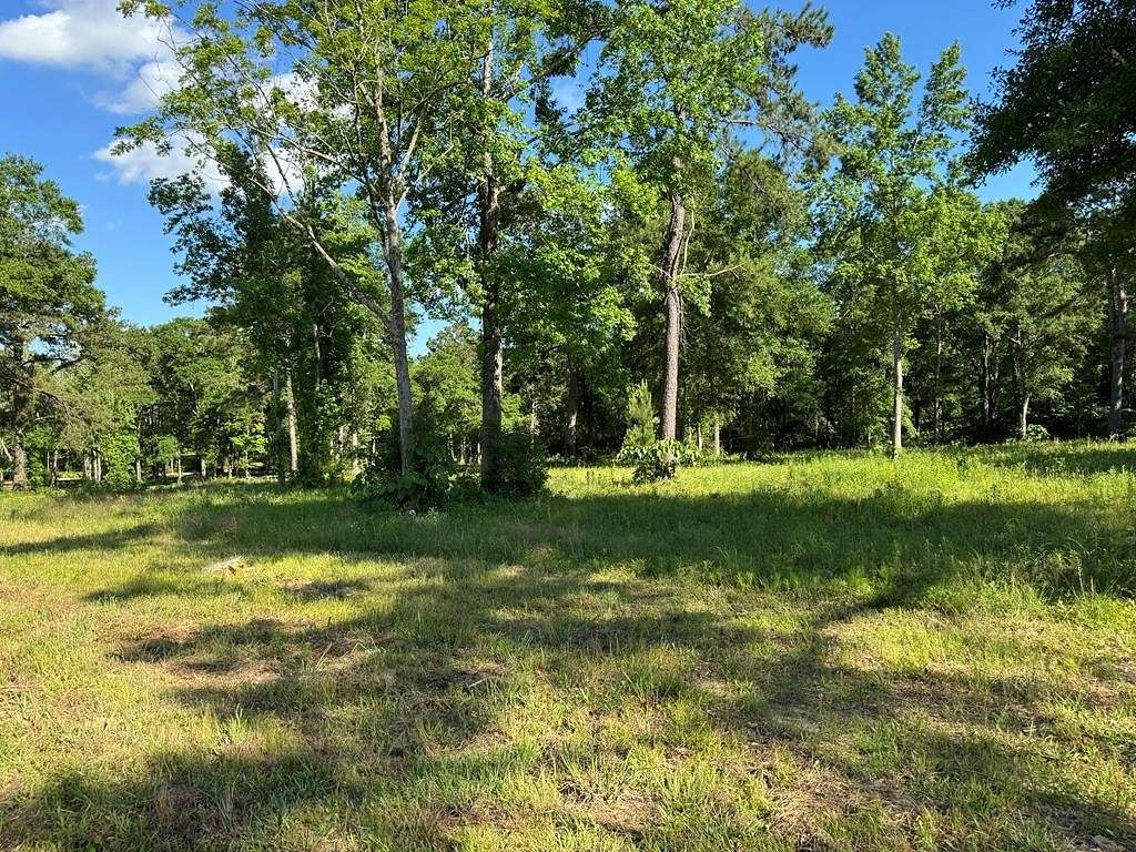 6.4 Acres of Residential Land for Sale in Carriere, Mississippi