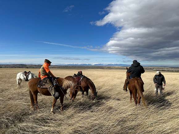 1,015 Acres of Land with Home for Sale in Ryegate, Montana