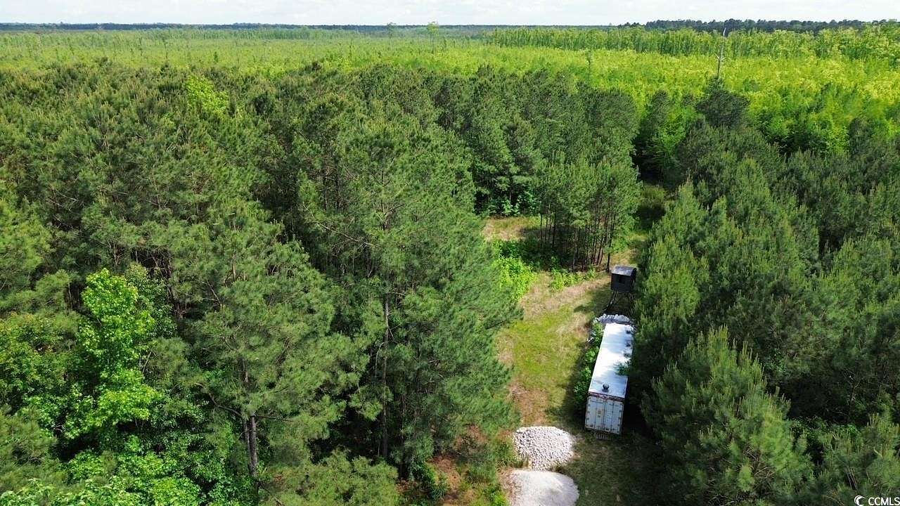 72.3 Acres of Land for Sale in Marion, South Carolina