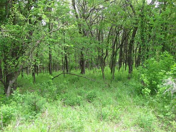 7.6 Acres of Land for Sale in Tuttle, Oklahoma