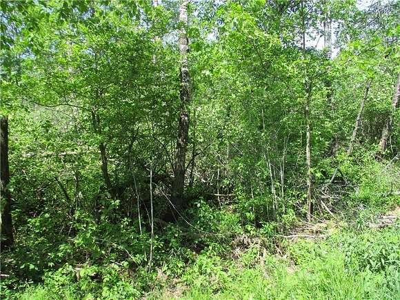 0.92 Acres of Residential Land for Sale in Birchwood, Wisconsin