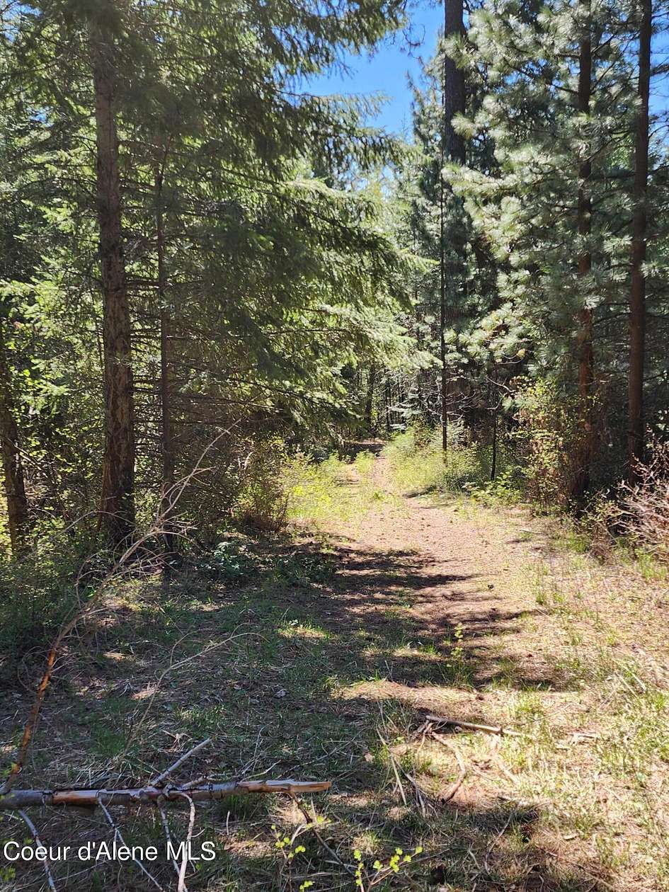 15 Acres of Land for Sale in Hauser, Idaho
