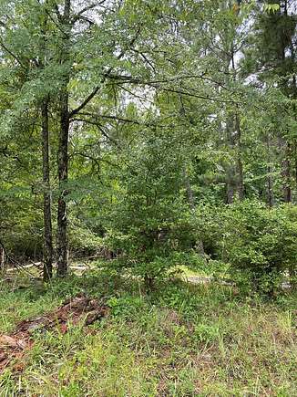 0.5 Acres of Residential Land for Sale in Sparta, Georgia