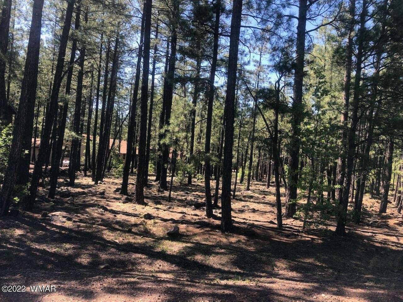 0.41 Acres of Residential Land for Sale in Pinetop, Arizona