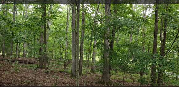 0.37 Acres of Residential Land for Sale in Spring City, Tennessee