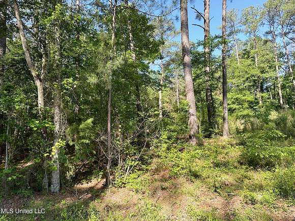 1.1 Acres of Residential Land for Sale in Florence, Mississippi