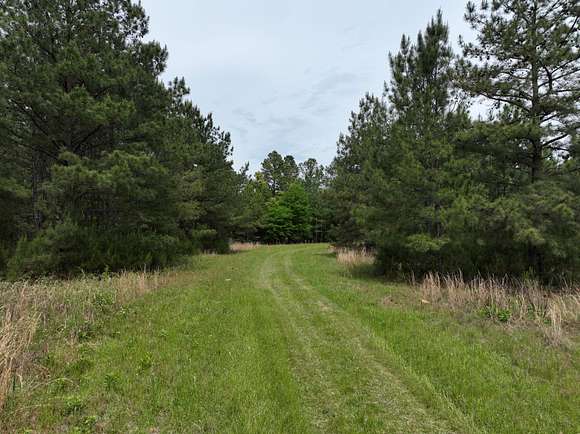 15.1 Acres of Land for Sale in Claxton, Georgia
