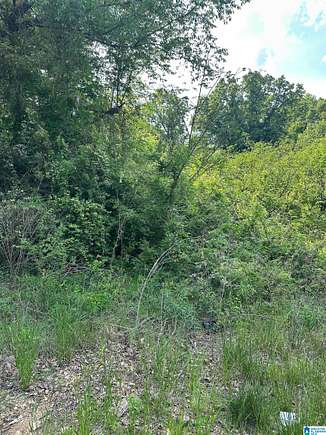 0.74 Acres of Land for Sale in Clay, Alabama