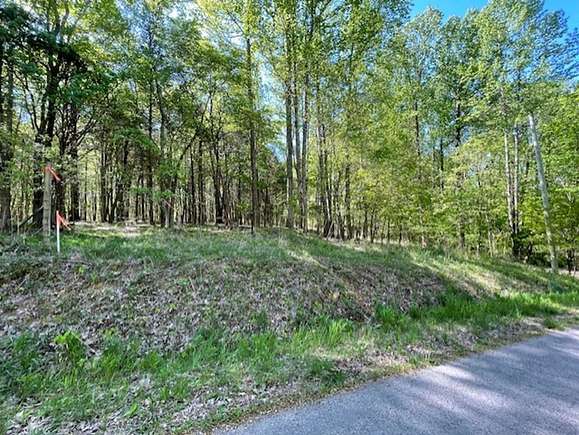 5.4 Acres of Residential Land for Sale in Bethpage, Tennessee