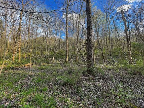 14.05 Acres of Recreational Land for Sale in Corning, Ohio