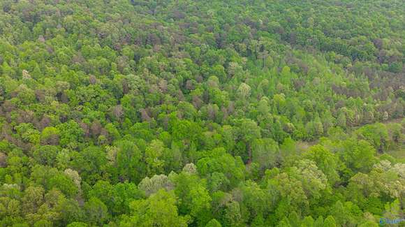 35.3 Acres of Land for Sale in Grant, Alabama