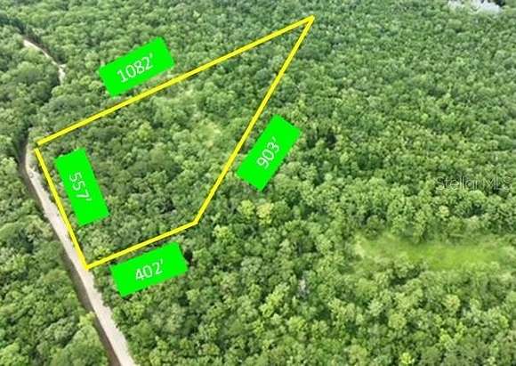 9.5 Acres of Residential Land for Sale in Bell, Florida