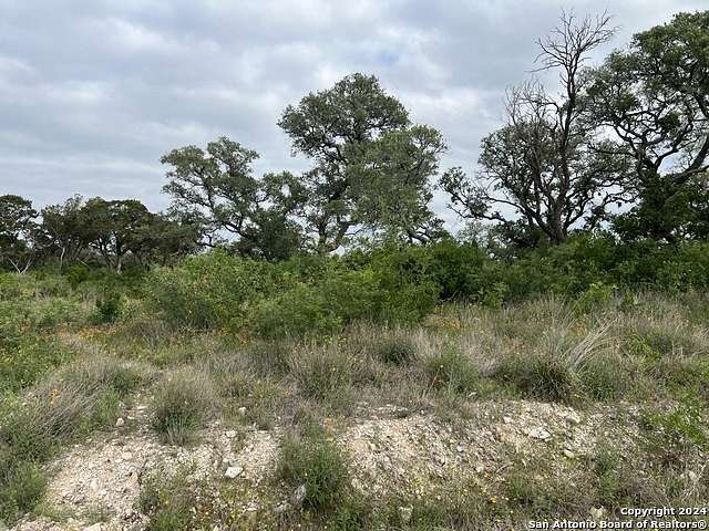 2 Acres of Residential Land for Sale in Mico, Texas