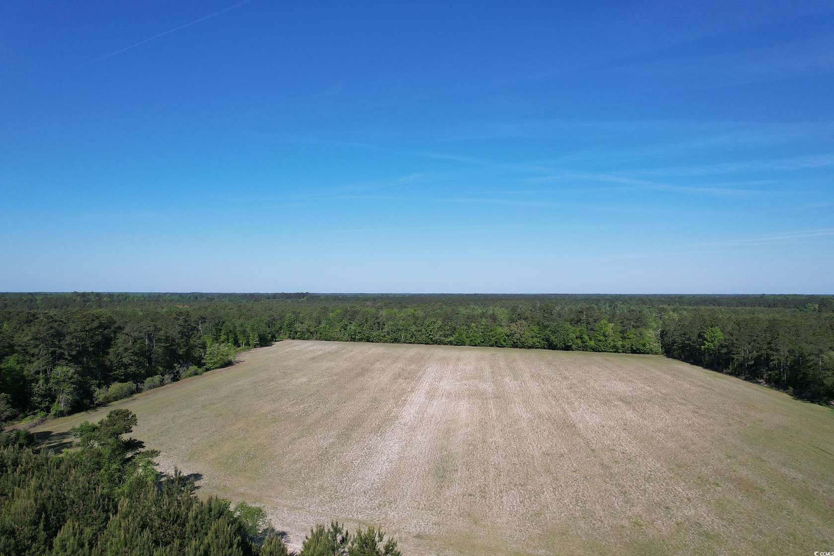 51 Acres of Recreational Land for Sale in Nichols, South Carolina