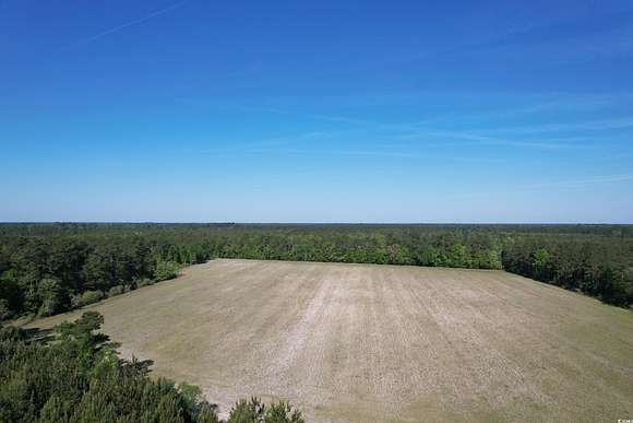 51 Acres of Recreational Land for Sale in Nichols, South Carolina