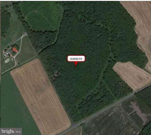 31.5 Acres of Land for Sale in Felton, Delaware