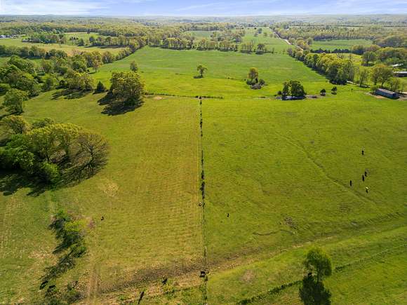 76 Acres of Land for Sale in Dora, Missouri