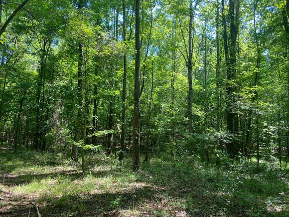 36.5 Acres of Land for Sale in Lapine, Alabama