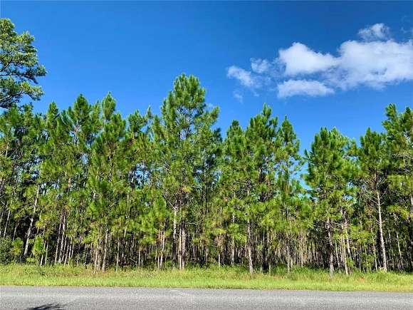 2.13 Acres of Residential Land for Sale in Eustis, Florida