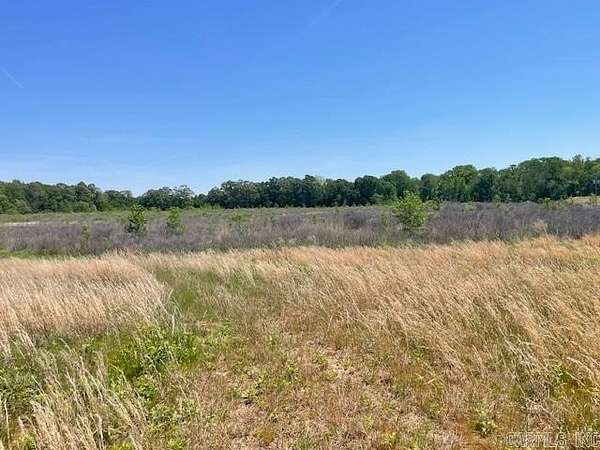 40 Acres of Recreational Land for Sale in Hazen, Arkansas