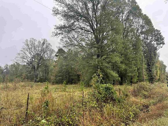 38.6 Acres of Land for Sale in Leola, Arkansas