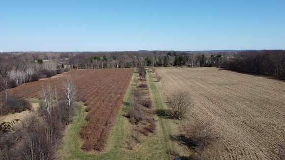 40.1 Acres of Agricultural Land for Sale in Paw Paw, Michigan