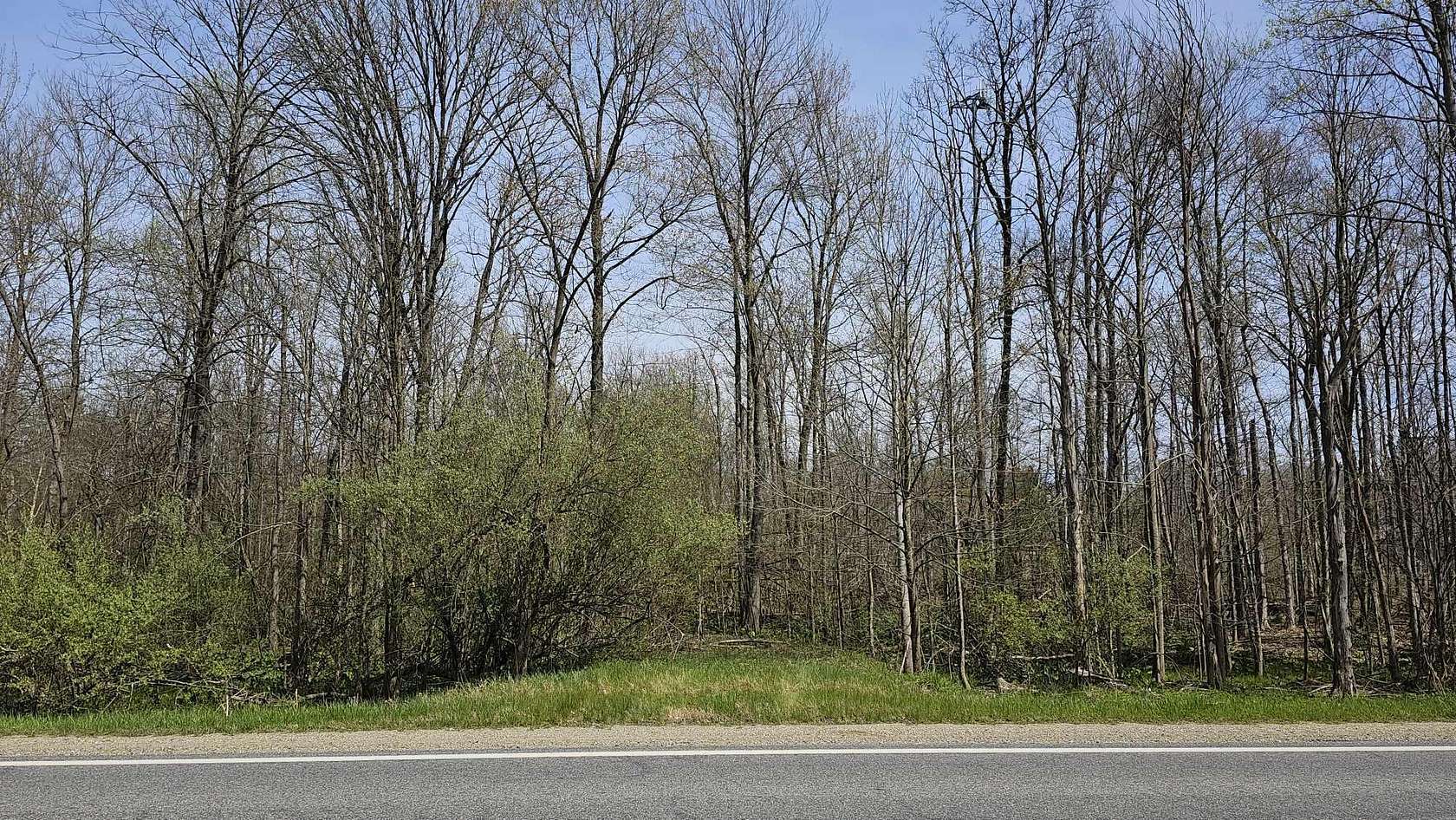 5.2 Acres of Land for Sale in Allegan, Michigan