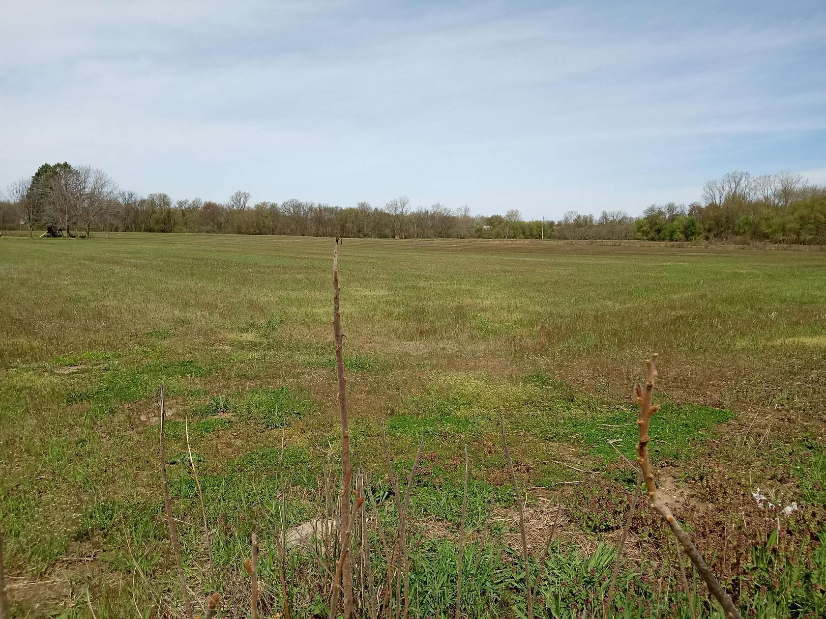 11.8 Acres of Land for Sale in Tekonsha, Michigan