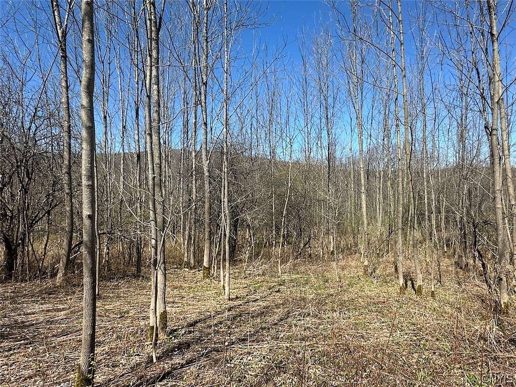 5 Acres of Land for Sale in Grove, New York
