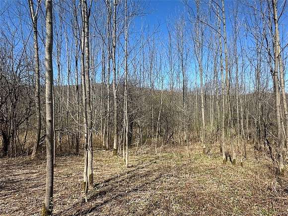 5 Acres of Residential Land for Sale in Canaseraga, New York