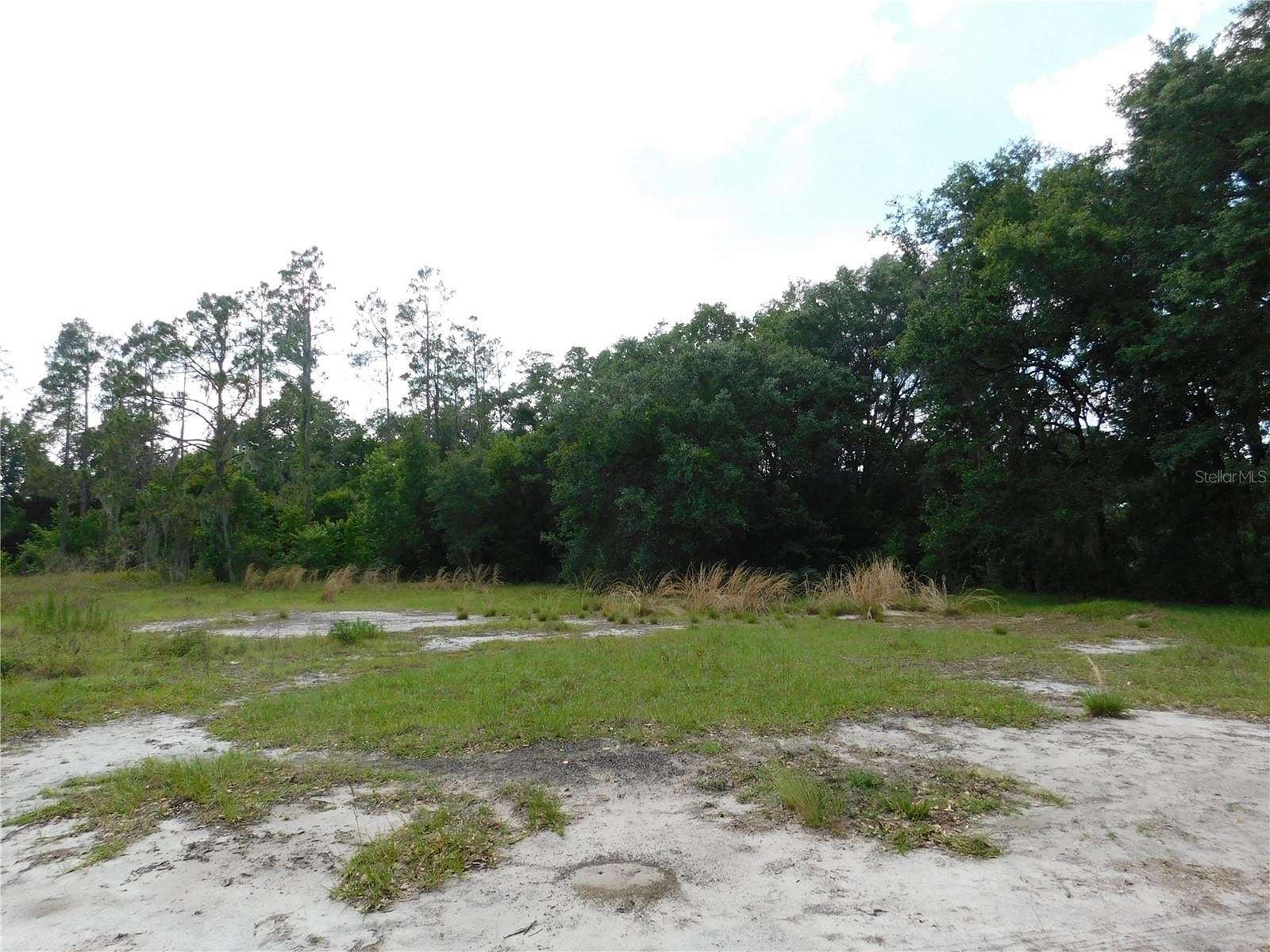 1.1 Acres of Land for Sale in Dover, Florida