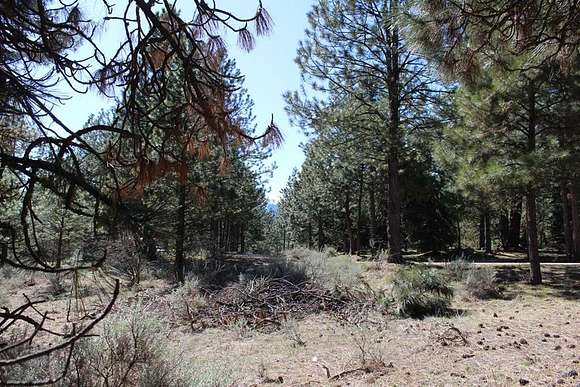 0.59 Acres of Land for Sale in Cascade, Idaho
