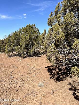 37.09 Acres of Land for Sale in Concho, Arizona