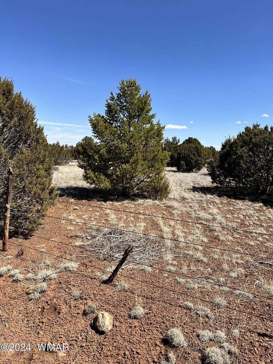 36.5 Acres of Land for Sale in Concho, Arizona