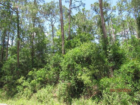 1.26 Acres of Residential Land for Sale in Bunnell, Florida