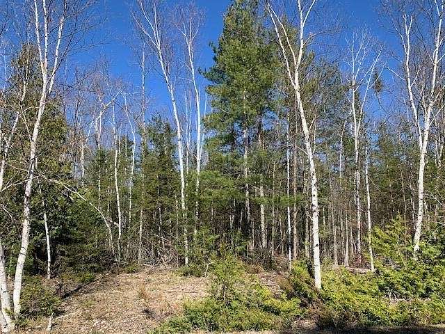 Land for Sale in Presque Isle, Michigan