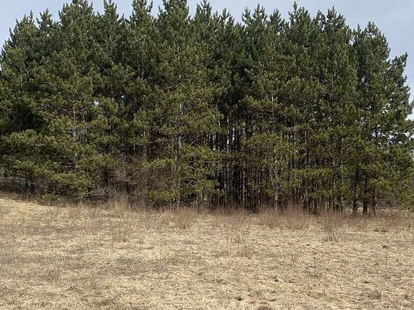 20 Acres of Recreational Land for Sale in Comins, Michigan