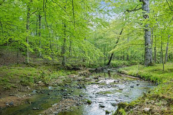 29.1 Acres of Recreational Land for Sale in Yadkinville, North Carolina