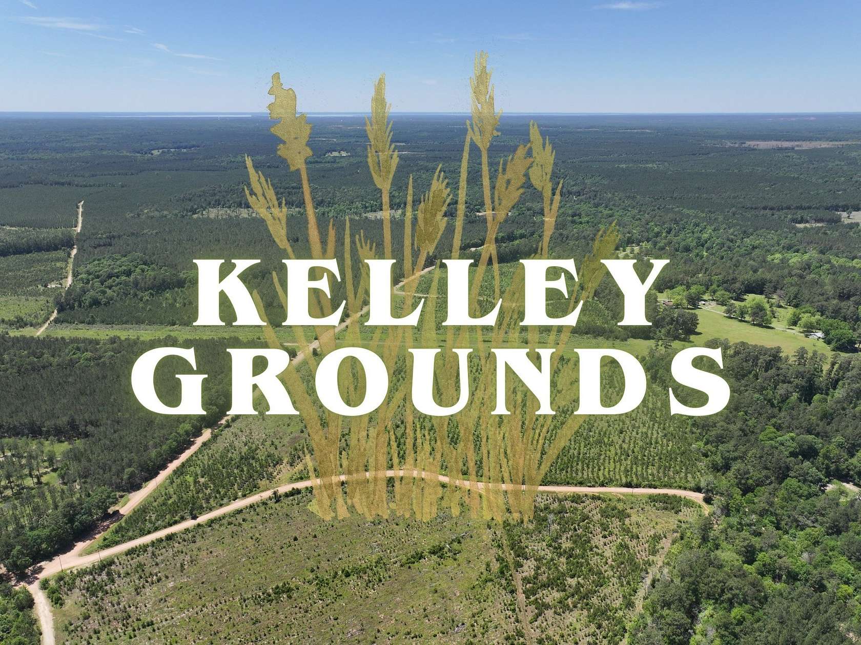 2.72 Acres of Residential Land for Sale in Livingston, Texas