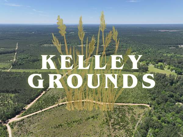 2.72 Acres of Residential Land for Sale in Livingston, Texas