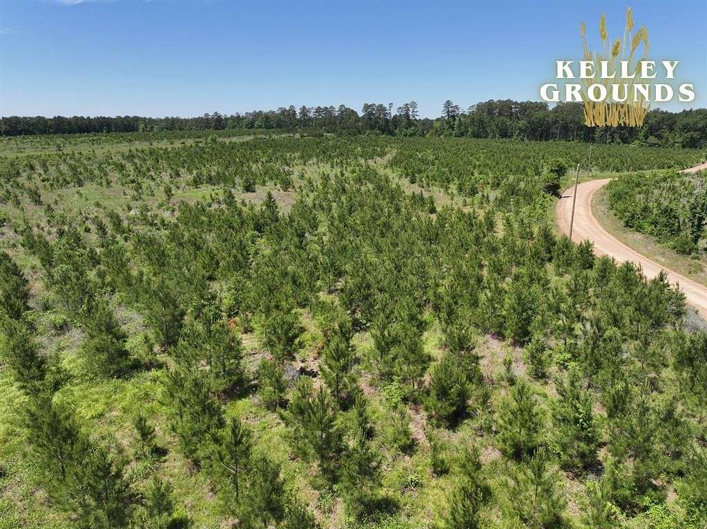 3 Acres of Residential Land for Sale in Livingston, Texas