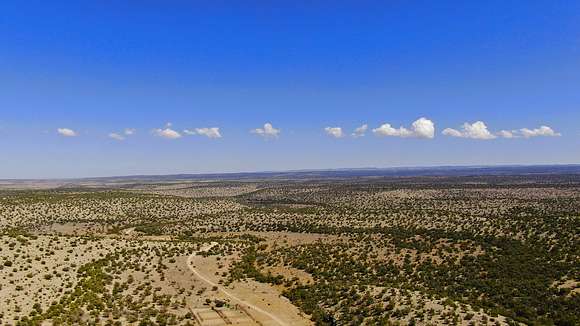380 Acres of Land for Sale in Queen, New Mexico