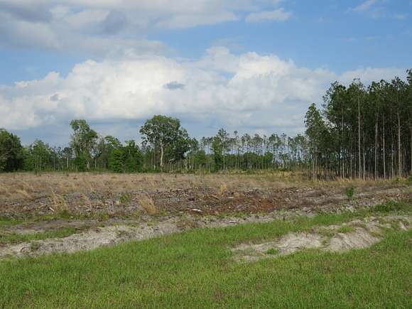 12.1 Acres of Land for Sale in Bronson, Florida