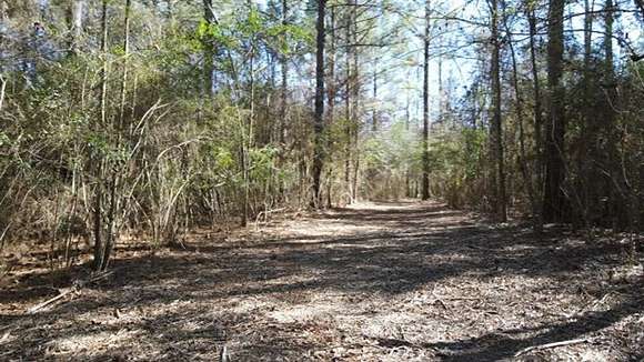 16 Acres of Recreational Land for Sale in Wesson, Mississippi