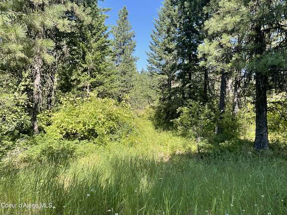 4.5 Acres of Residential Land for Sale in Plummer, Idaho